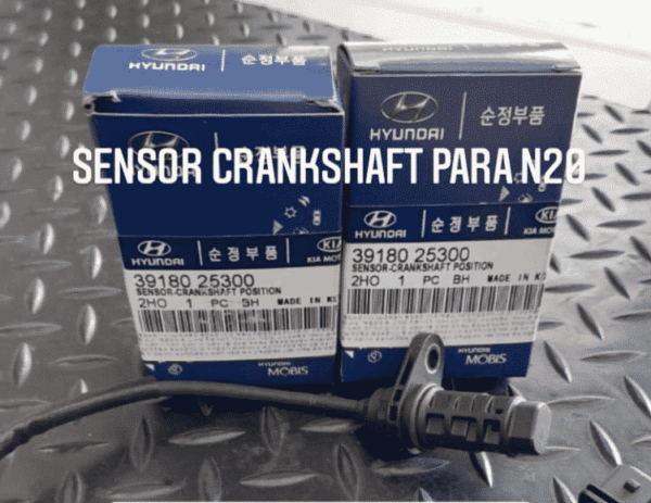 Crankshaft Sensor Lotze N20
