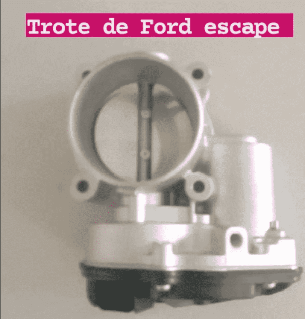 Trotel Ford Escape 2008-12